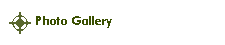 Photo Gallery